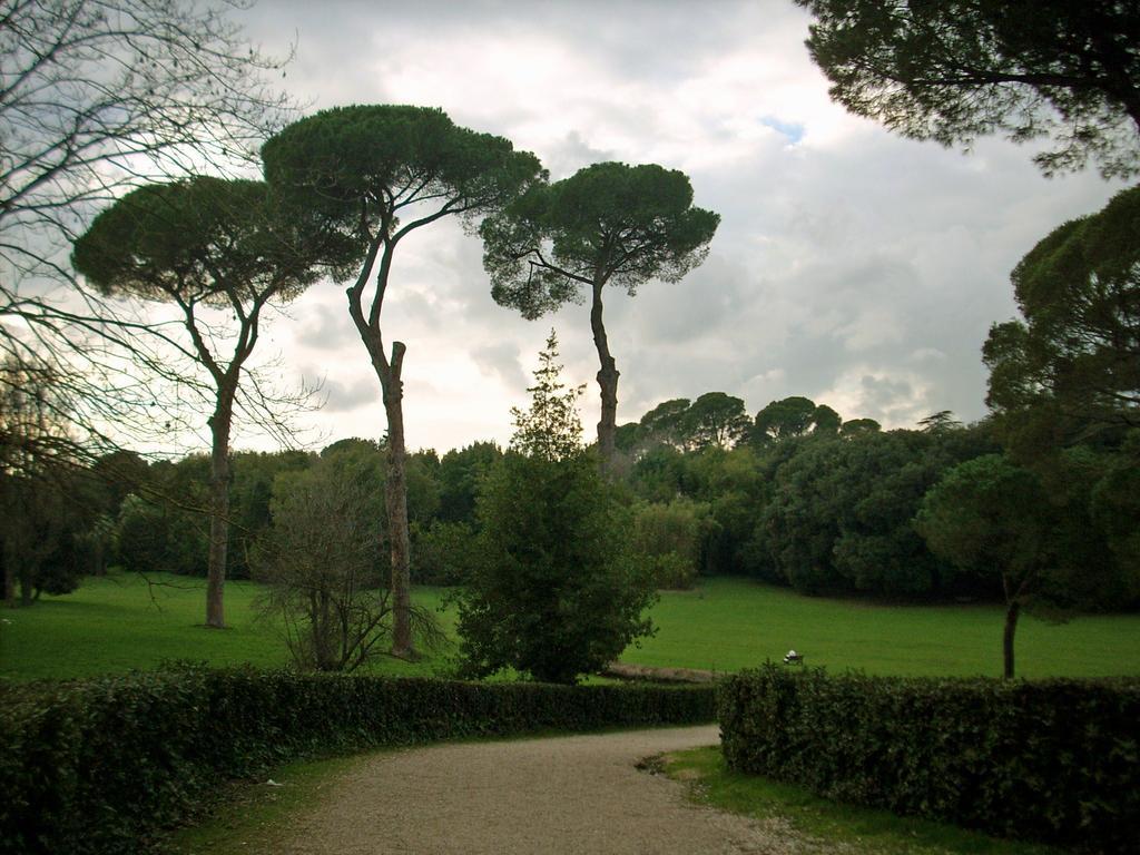 York Roma